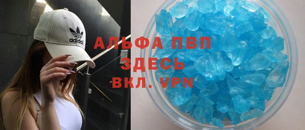 сатива Инта