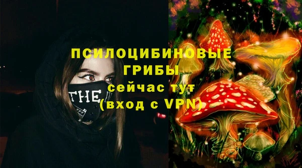 каннабис Каменногорск
