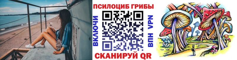 Галлюциногенные грибы GOLDEN TEACHER  ссылка на мегу ONION  Касимов  где найти  